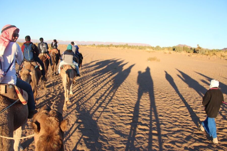 Agadir/Taghazout/Port: Camel Ride Tea & BBQ Option - Through Aghroud Bensergao and beyond Agadir’s center