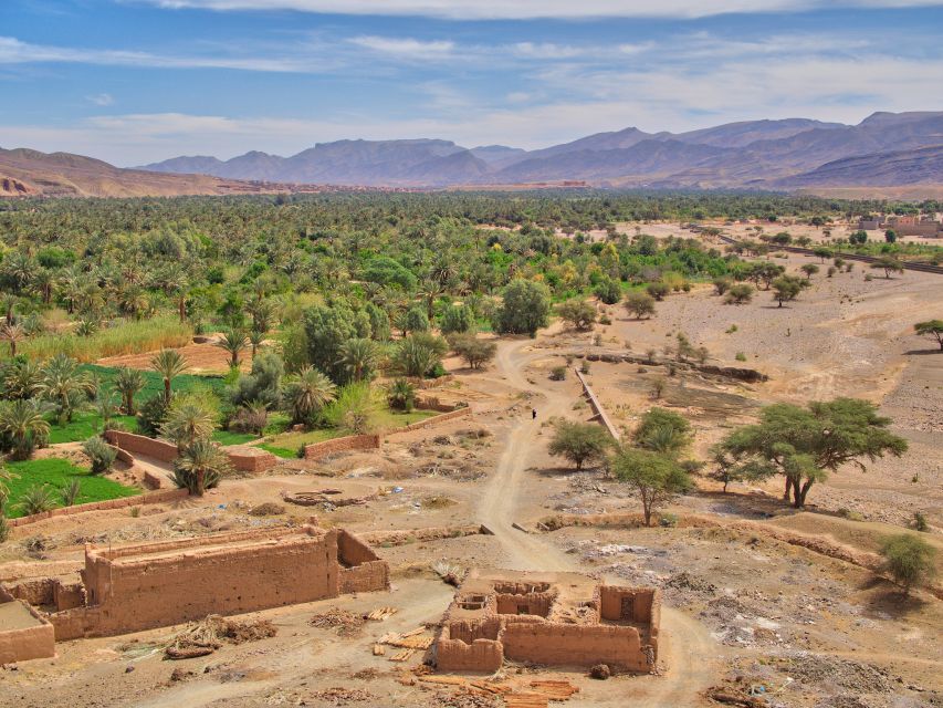 Agadir/Taghazout/Port: Paradise Valley Atlas Mountains Trip - Practical tips for a smoother day