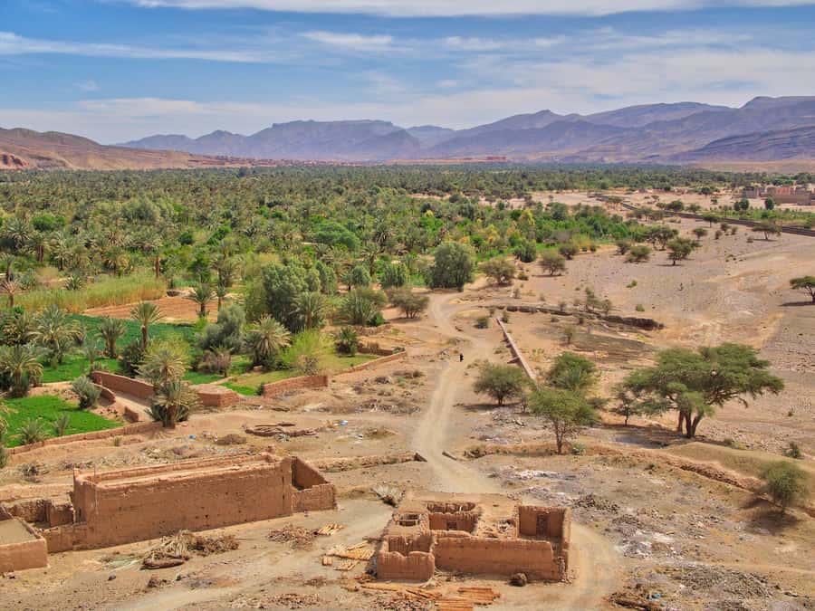 Agadir/Taghazout/Port: Paradise Valley Atlas Mountains Trip - What past departures reveal about the guides