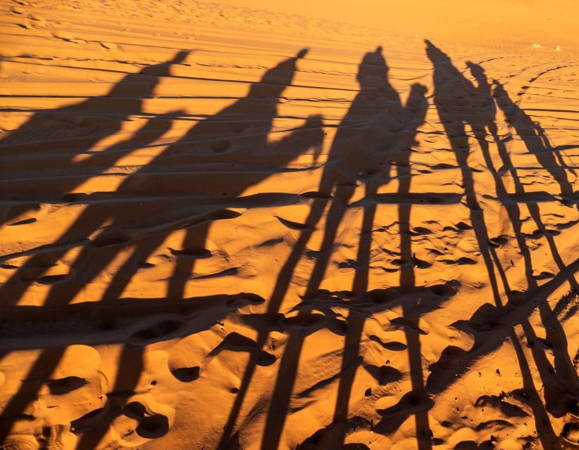 Agadir/Taghazout/Port: Sahara Desert 4x4 Day Trip with Lunch - Youssef ben Tachfine Dam and the changing scenery