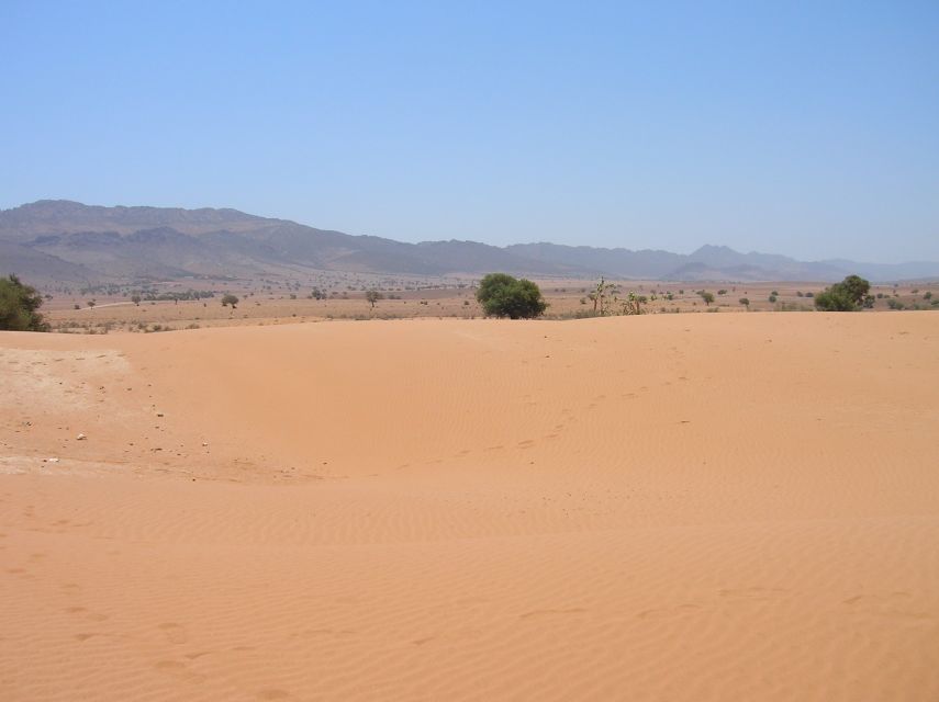 Agadir/Taghazout/Port: Sahara Desert 4x4 Day Trip with Lunch - Tiznit, Morocco’s old silver center