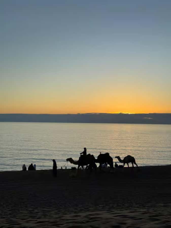 Agadir/Taghazout : Quad Bike & Camel Ride On The Beach - The camel ride slows everything down