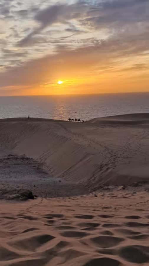 Agadir/Taghazout : Quad Bike & Camel Ride On The Beach - Who will enjoy this most