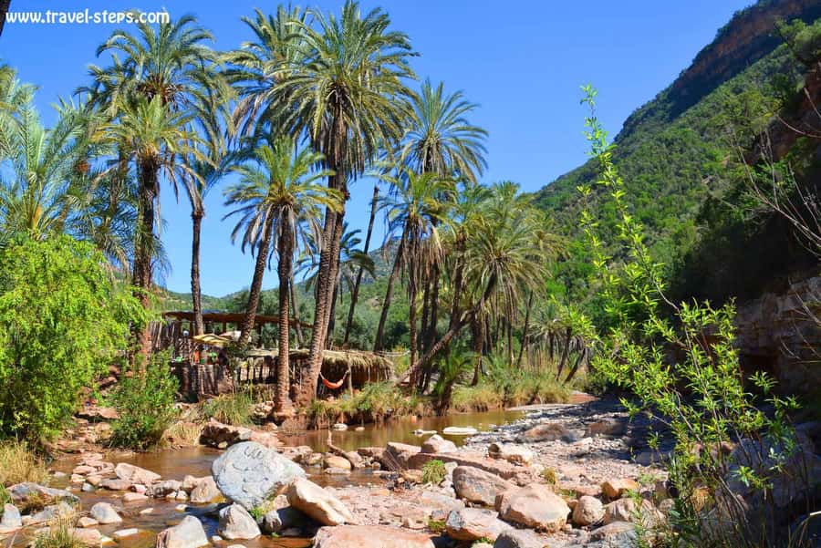 Agadir/Taghazout/Tamraght: Paradise Valley Best Tour - Key points at a glance