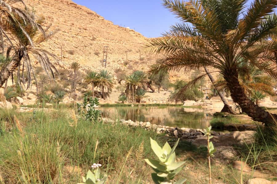 Agadir/Taghazout/Tamraght: Paradise Valley Best Tour - The guide and driver can shape the morning