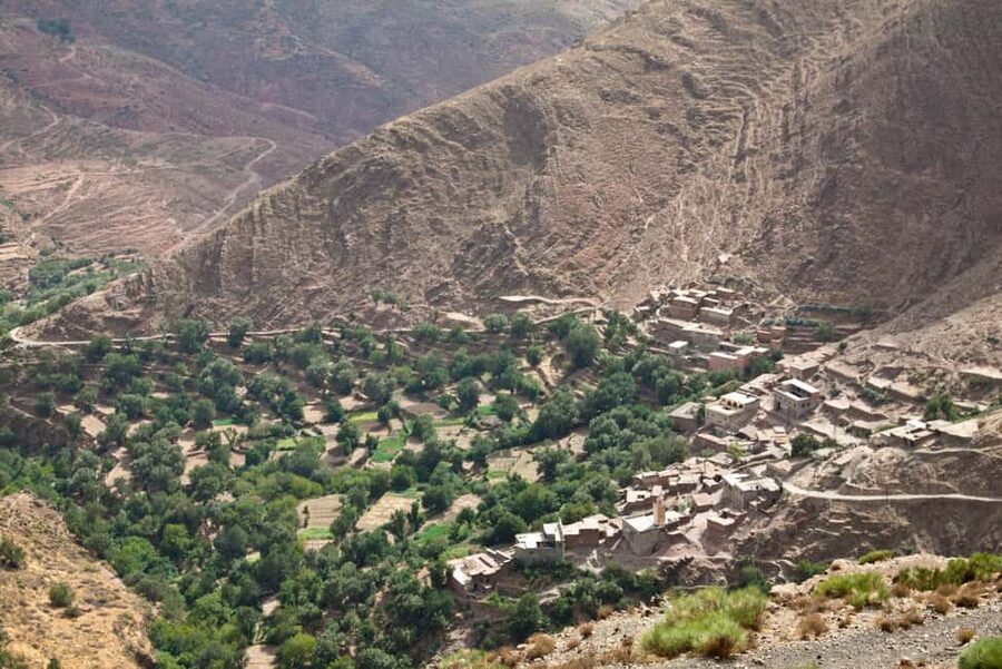 Agadir/Tamraght/Taghazout: Paradise Valley Atlas Tour - From Agadir’s coast to the Atlas foothills