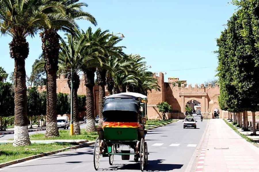 Agadir: Taroudant Oasis and Tiout Day Trip with Lunch Option - Who will enjoy this day trip most