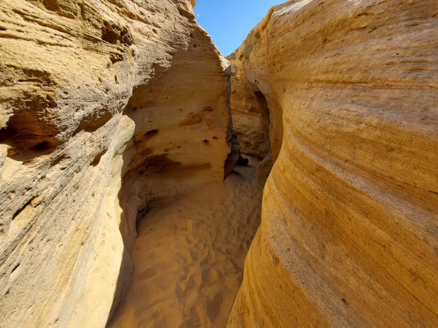 Agadir: Timlaline Desert and Paradise Valley with Camel Ride - Transport, guides, and the feel of the day