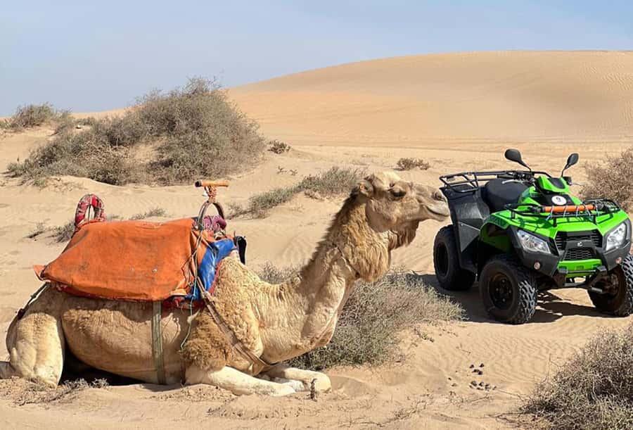 Agadir to Tifnit Desert: Quad Biking Tour with Sandboarding - What the $62 price really covers