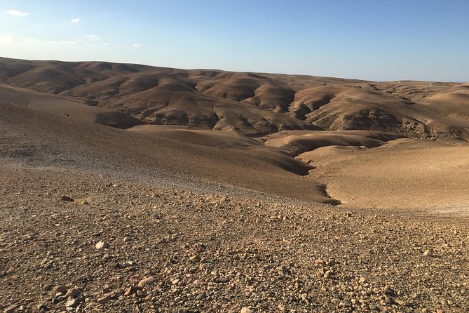 Agafay Desert & Atlas Mountains Day Trip from Marrakech - Is the $91.82 price good value?