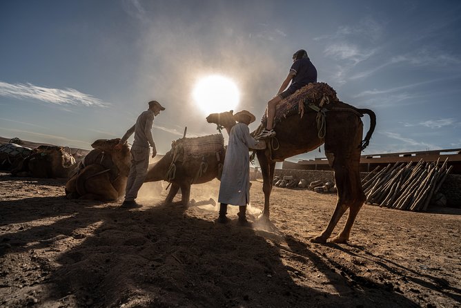 Agafay Desert Camel Experience with snack from Marrakech - Meeting at the oasis