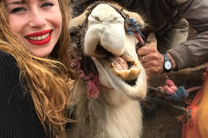 Agafay Desert: Camel ride, dinner and fire show - Leaving Marrakech at 3 p.m. for Agafay