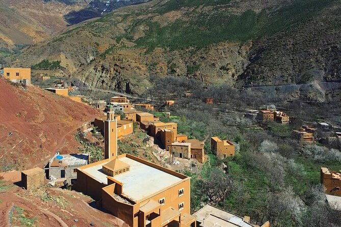 Agafay Desert: Camel ride, dinner and fire show - What the guide and group size mean