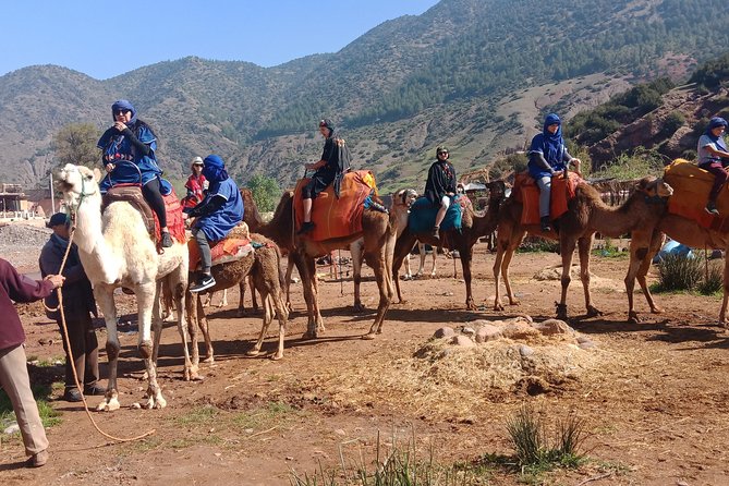 Agafay Desert: Camel ride, dinner and fire show - Tea and argan oil at a women’s cooperative