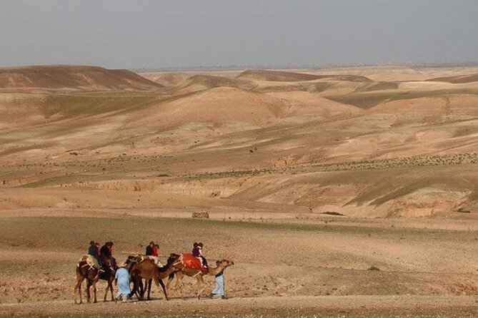 Agafay Desert Camel Ride With Dinner And Sunset Spectacle - Guide communication and the pace of the evening