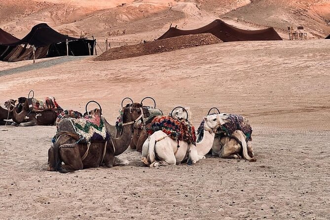 Agafay Desert Camel Ride With Dinner And Sunset Spectacle - Is $69.79 good value?
