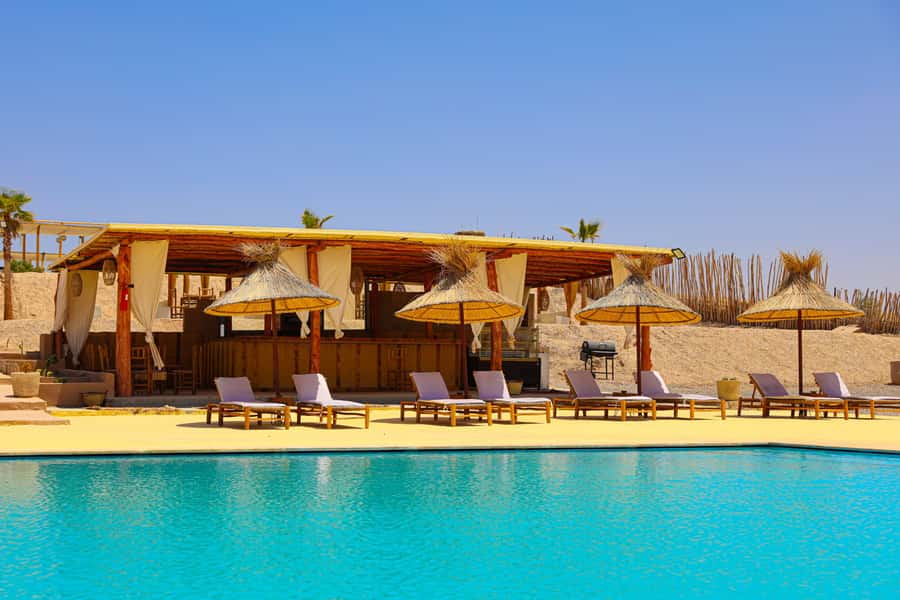 Agafay Desert Day: Quad Bike, Lunch & Swim Adventure - Tea and argan oil at the cooperative