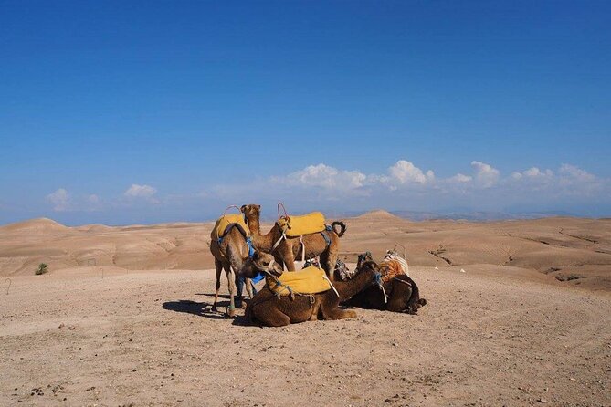 Agafay Desert Day Trip From Marrakech - Practical details worth checking