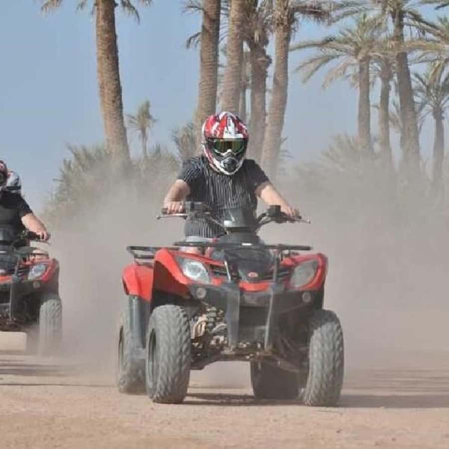 Agafay Desert Day Trip with Lunch, Quad Biking and Swimming - Who will enjoy this Agafay day most