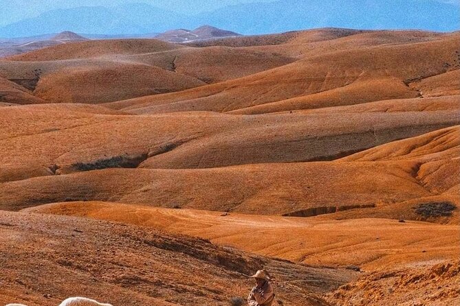 Agafay Desert: Dinner + Show with Quad Bike & Sunset Camel Ride - Camp time, mint tea, and the pool