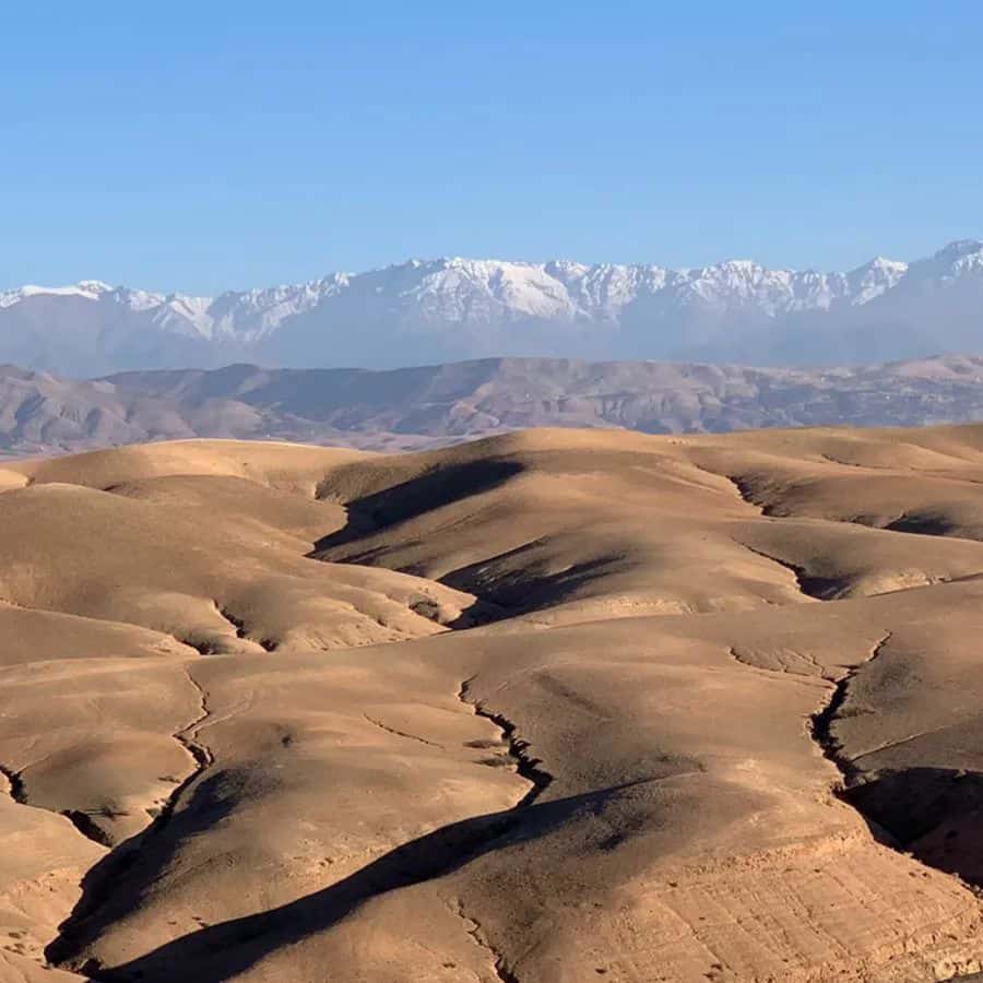 Agafay Desert: Magical Half-Day Lunch with Pool Swim - Who will enjoy this Agafay outing
