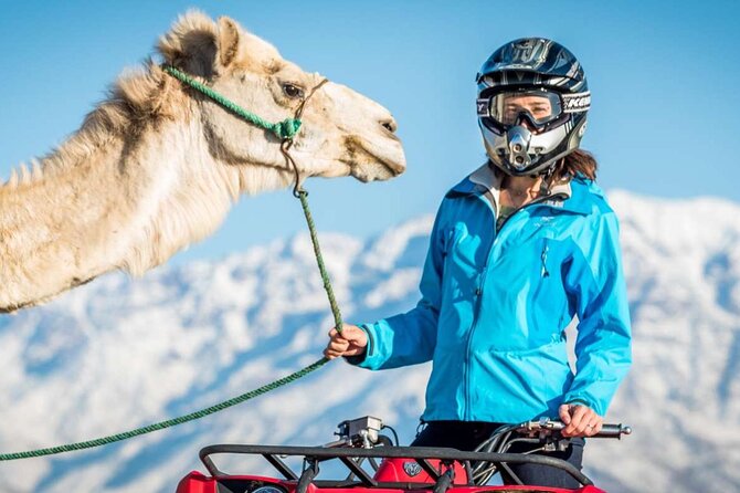 Agafay Desert Package, Quad Bike, Camel Ride and Dinner Show - Key points to know before booking