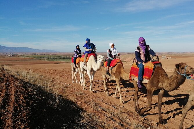 Agafay Desert Package: Quad, Camel Rides & Dinner Show or Lunch - Moroccan dinner, music, dancing, and fire