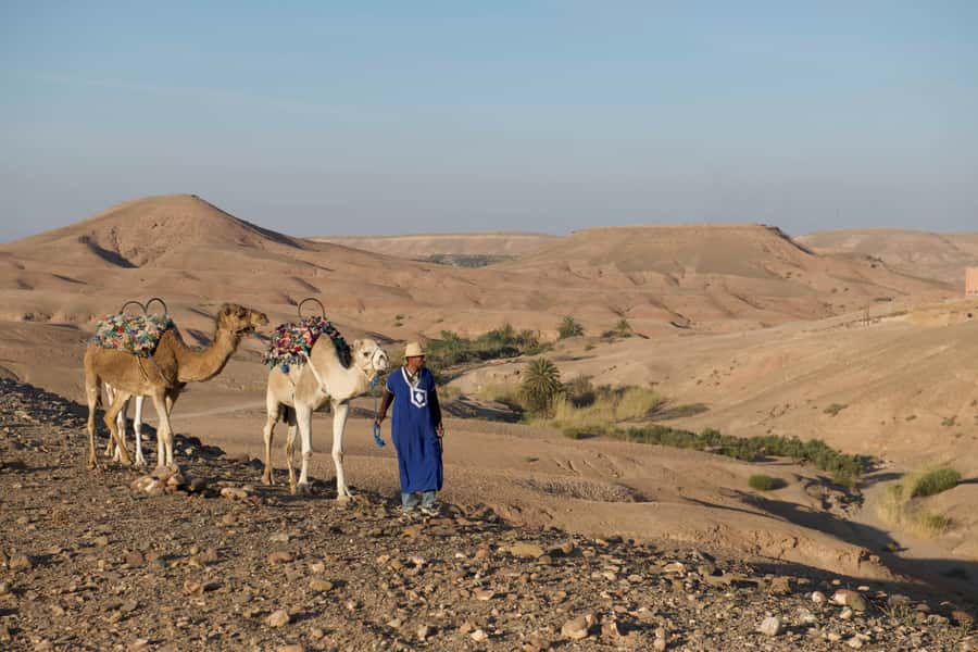 Agafay Desert: Quad Bike and Camel Ride Adventure Tour - Quad biking across Agafay’s hills