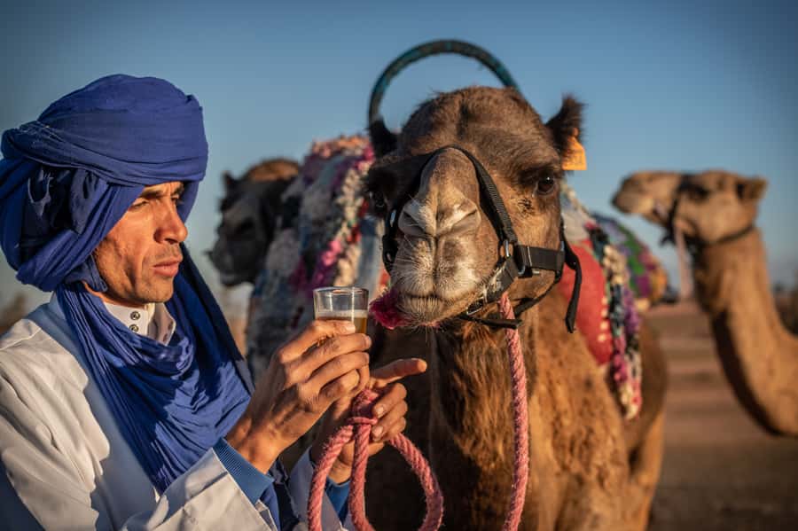 Agafay Desert: Quad Bike and Camel Ride Adventure Tour - Photos, clothing, and small practical tips