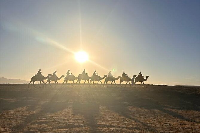 Agafay Desert: Quad Bike & Camel Ride & Magical Diner with Show - A short camel ride at sunset