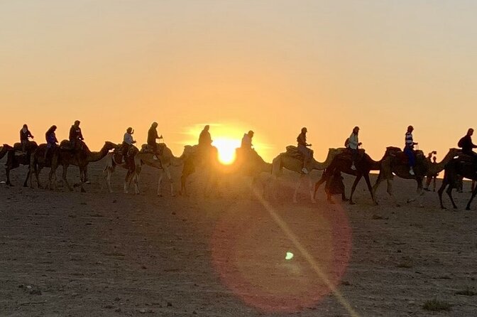 Agafay Desert: Quad Bike & Camel Ride & Magical Diner with Show - Quad biking across Agafay’s rocky ground