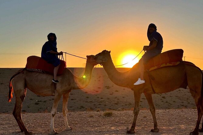 Agafay desert : Quad biking and camels and dinner with show - What the $48.20 price really buys