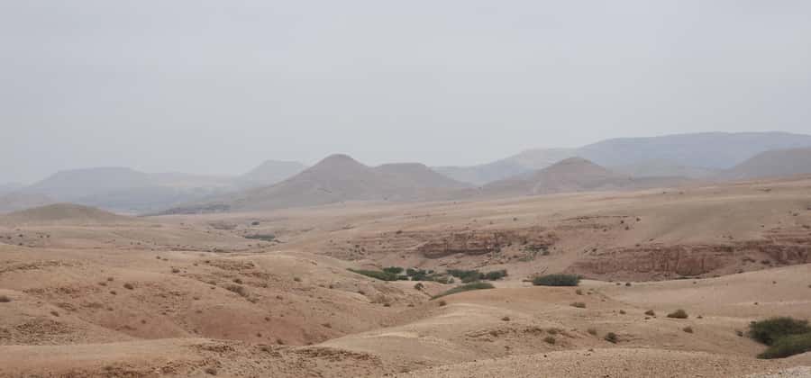 Agafay Desert: Quad Biking, Camel Ride, Lunch - Moroccan lunch, mint tea, and time to slow down