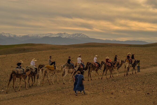 Agafay Desert - Quad camel and dinner show - Moroccan dinner with several dependable choices