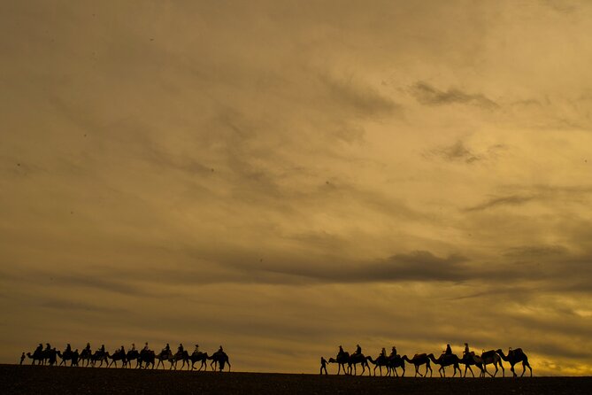 Agafay Desert - Quad camel and dinner show - Who should book this Agafay evening