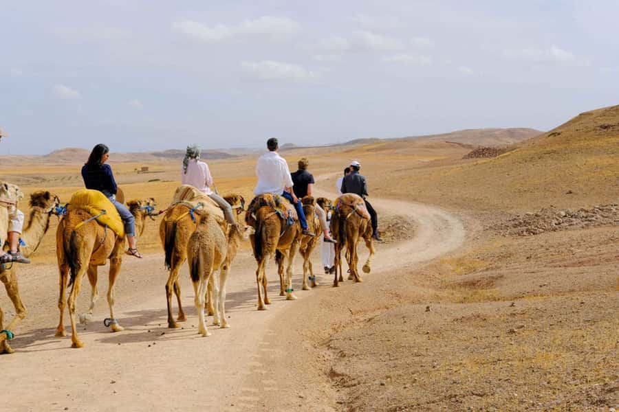 Agafay Desert: Quad, Camel Ride & Luxury Lunch with Pool - What $76 includes, and where the value lies