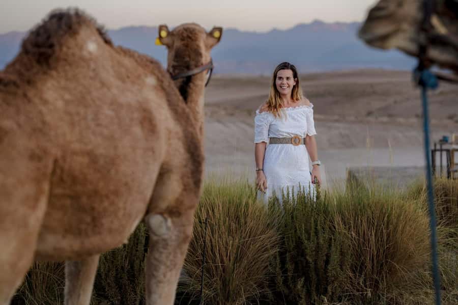 Agafay Desert Tour: Quad, Camel, Lunch & Pool Access - A camel ride with a slower rhythm
