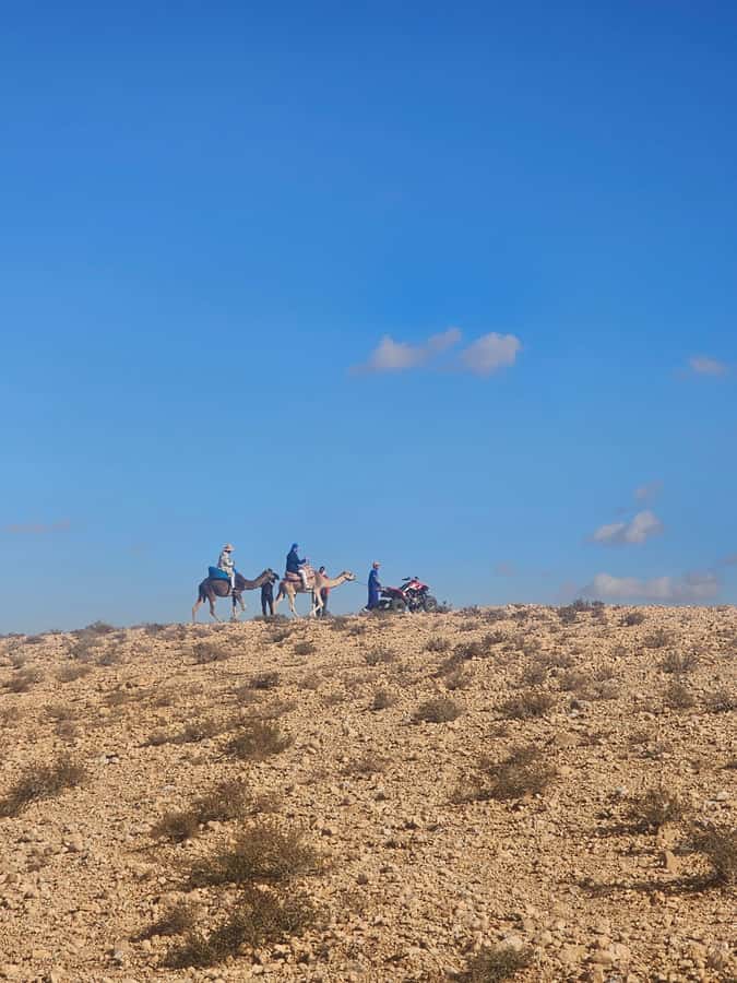 Agafay Desert Tour: Quad, Camel, Lunch & Pool Access - What the six-hour schedule feels like