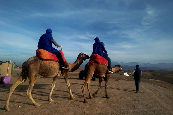 Agafay Half Day Rocky Desert Experience – Quad Bike & Camel Ride - Key points to know before booking