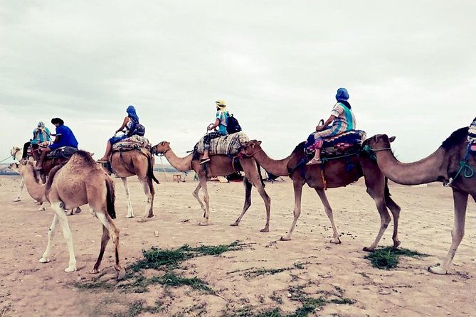Agafay Half Day Rocky Desert Experience – Quad Bike & Camel Ride - Who will enjoy this Agafay combination