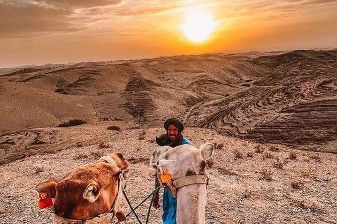 Agafay Marrakech dinner show with quad bike and camel ride - Quad Bikes and the Question of What Is Included