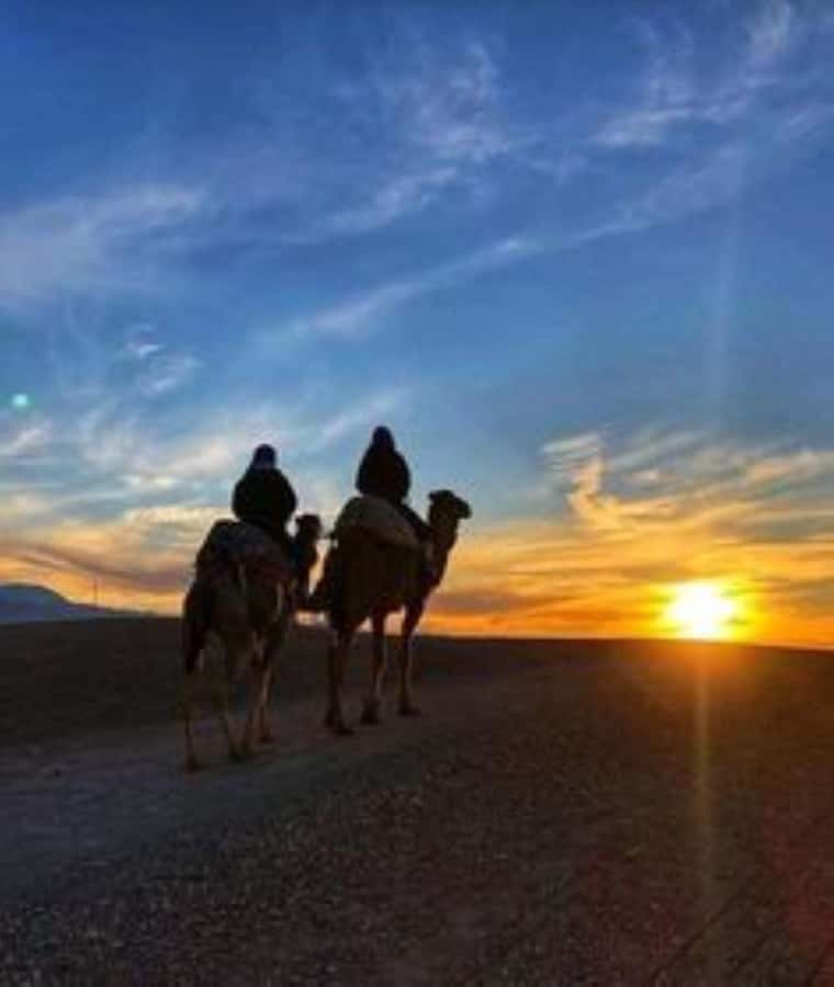 Agafay: Quad, Camel Ride & Dinner Show from Marrakech - Key points to know before booking