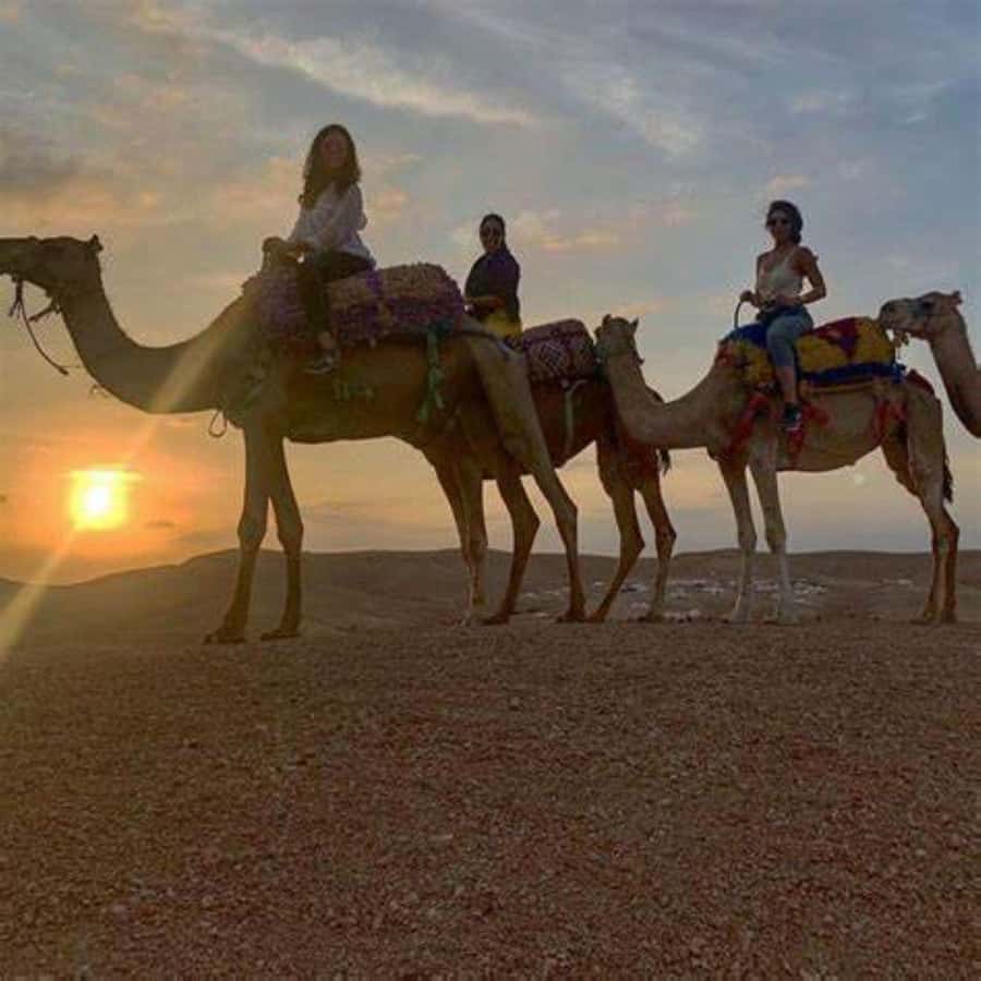 Agafay: Quad, Camel Ride & Dinner Show from Marrakech - Is $22 good value?