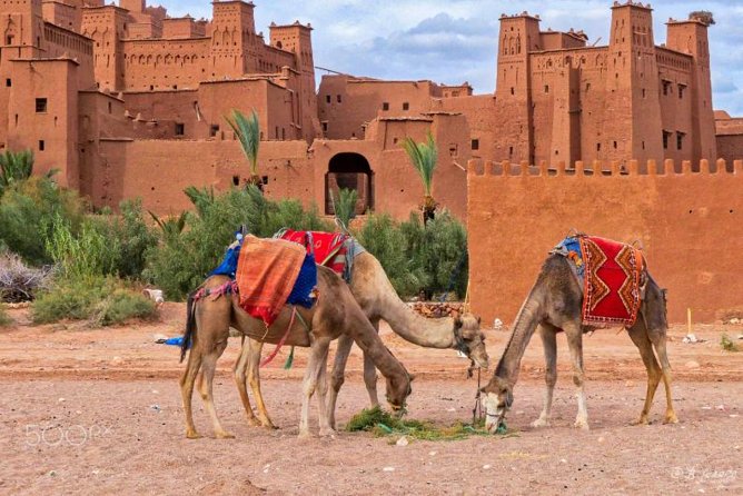 Ait ben haddou and Ouarzazate day trip - The real prize is Aït Benhaddou