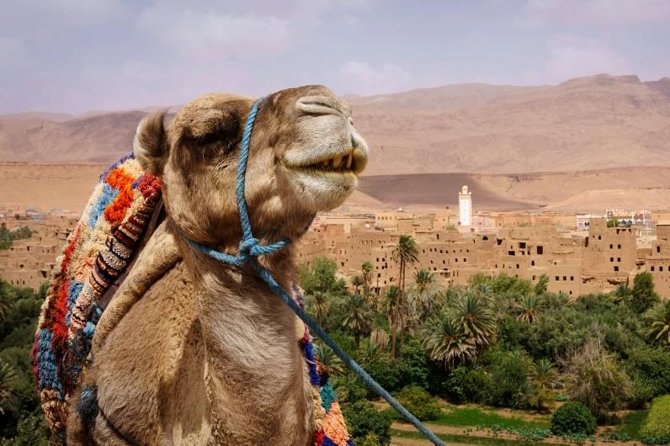 Ait ben haddou and Ouarzazate day trip - Who will enjoy this day trip most