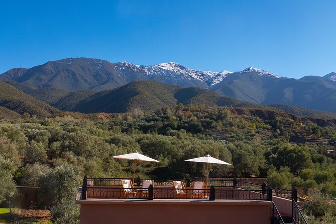 All in One - Special Day With the Berbers - Atlas Mountains - Key points to know before booking