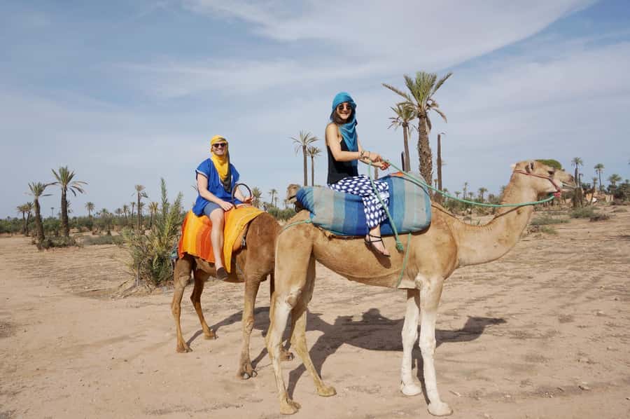 Around Marrakech: Camel Ride in Palm Groves including Tea - Tips for a smoother outing