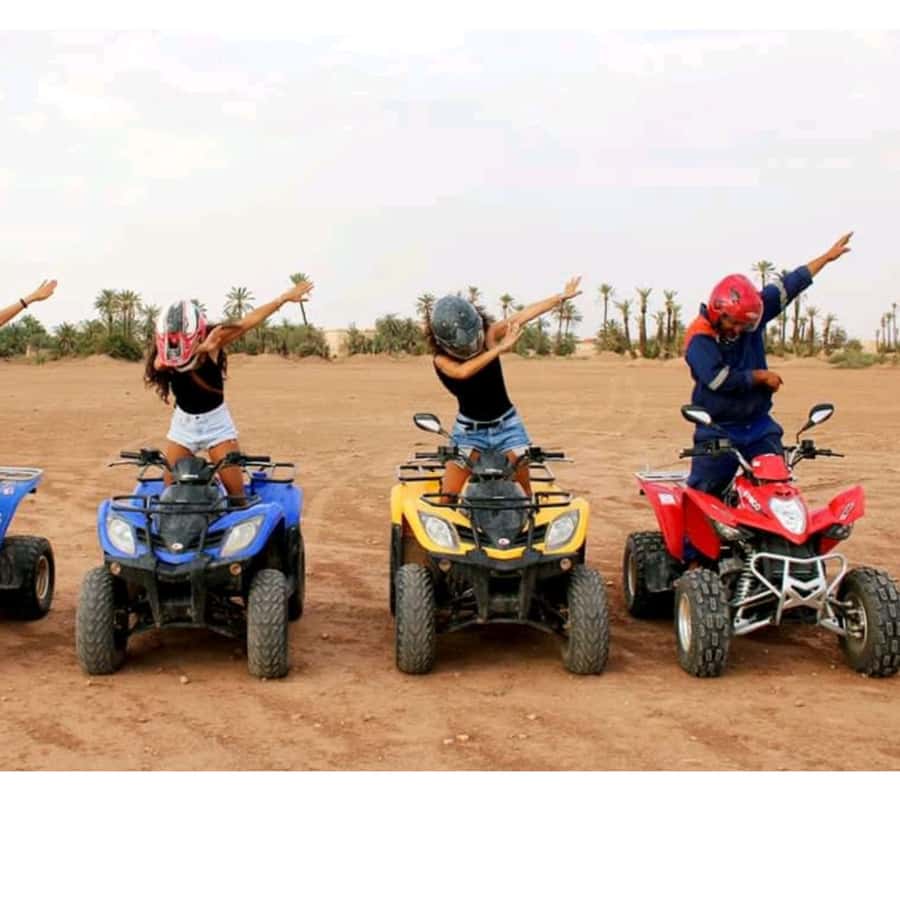 Around Marrakech: Camel Ride in Palm Groves including Tea - What the Palmeraie camel ride is really like