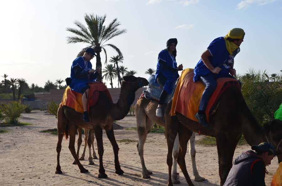 Around Marrakech: Camel Ride in Palm Groves including Tea - Getting dressed for the camel ride