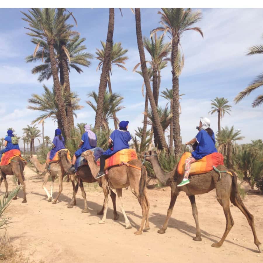 Around Marrakech: Camel Ride in Palm Groves including Tea - The 30-minute transfer from Marrakech